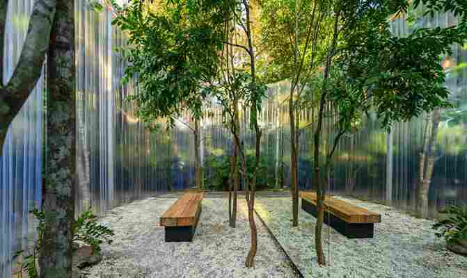 This greenery-filled cafe in Chiang Mai has its own private forest