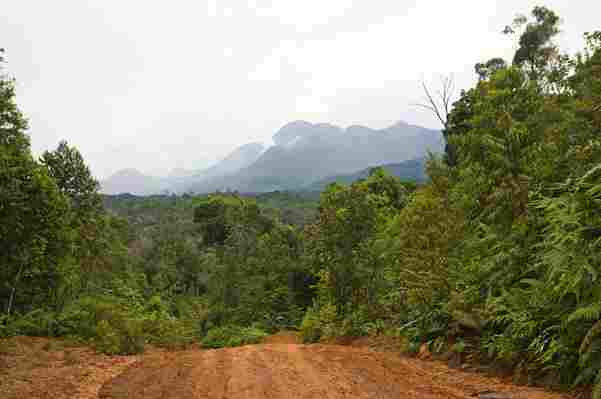 Indonesia to build a new capital city in Borneo jungle