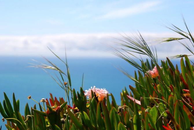 Wonderful self help tour to Portugal, Spain and the Mediterranean (4) Lisbon - Sintra