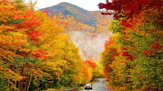 Interactive US Map Tool Can Point Travelers Toward Fall’s Finest Colors