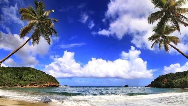 Dominica Launches Traveler Remote-Work Program