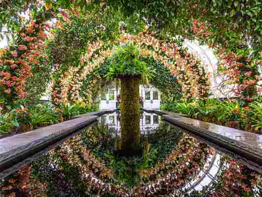 Step into a kaleidoscope of orchids at the New York Botanical Garden